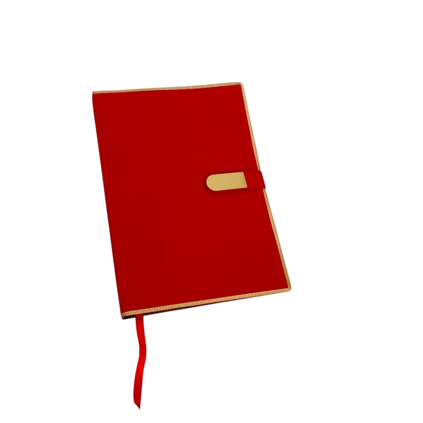 Professional Diary