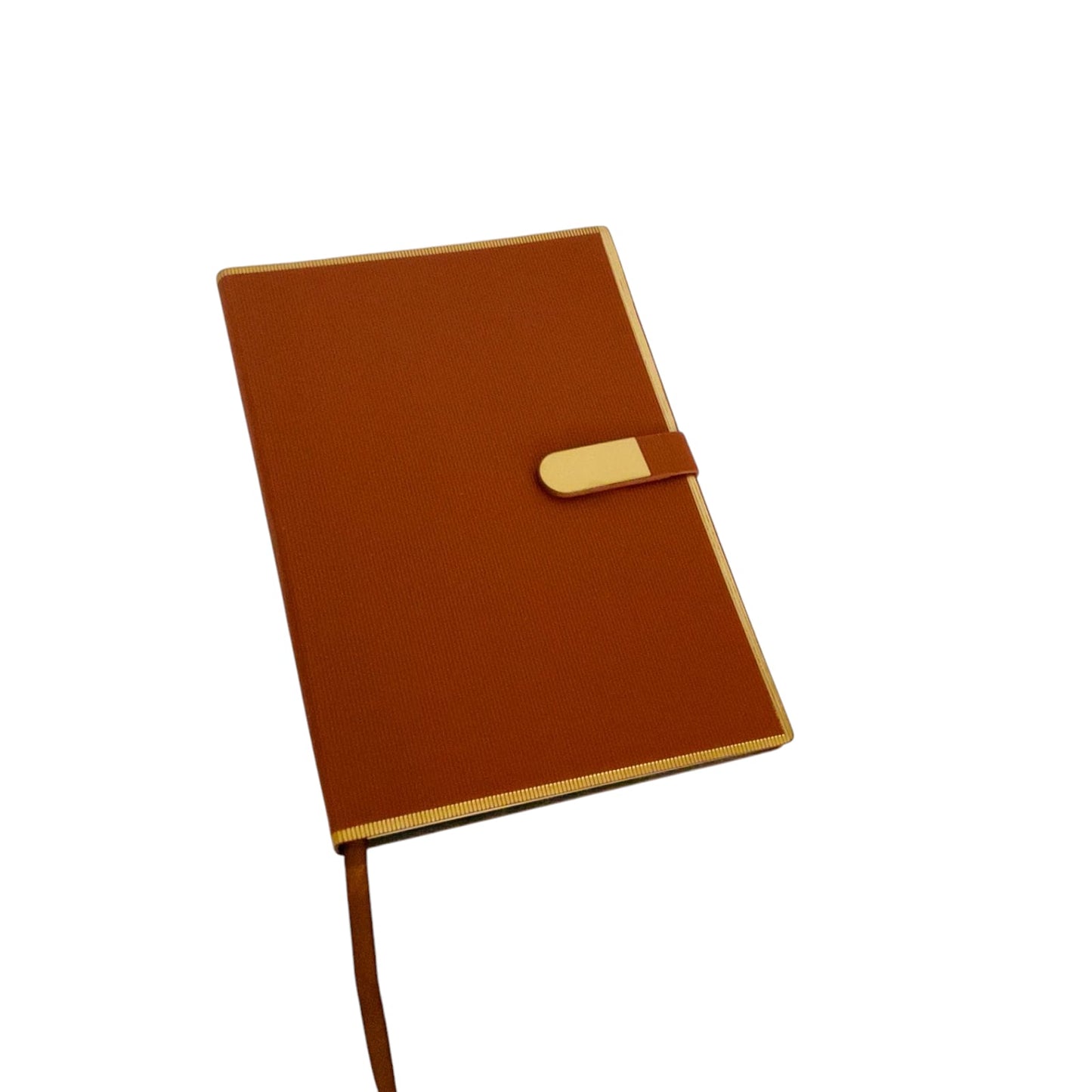 Professional Diary