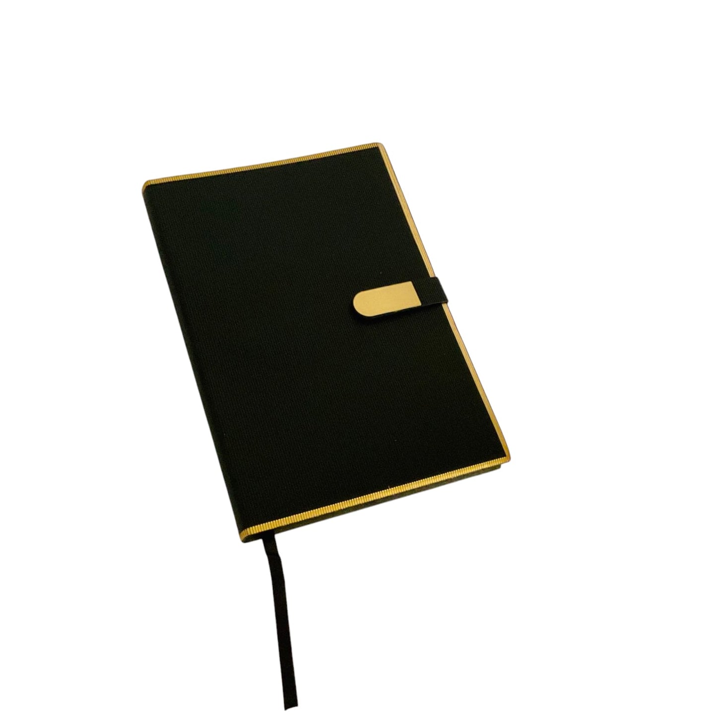 Professional Diary