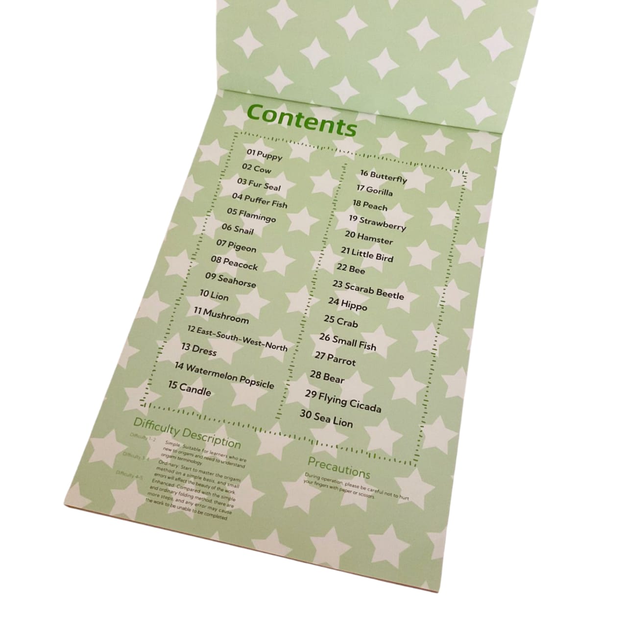 Advanced Level Origami Kit