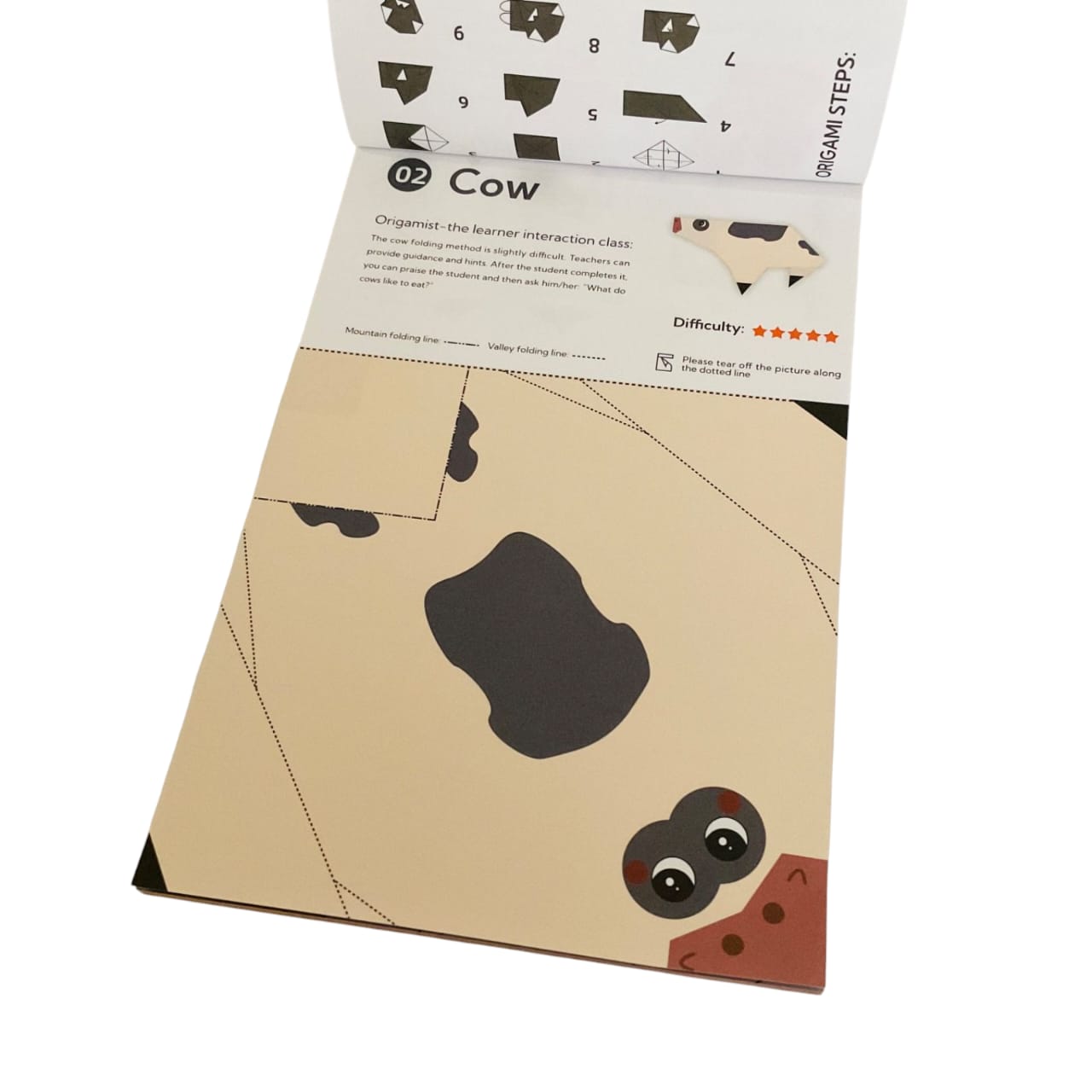 Advanced Level Origami Kit